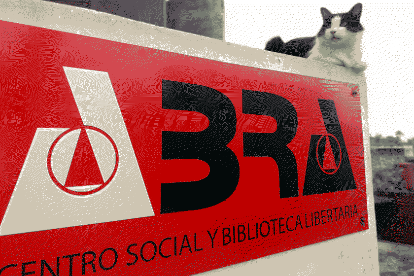 assets/gato_sobre_cartel_de_abra.jpg