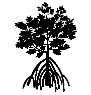 Akkoma